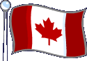 Flag 10