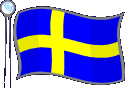 Flag 13
